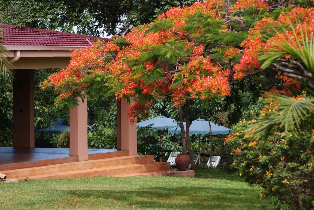 Abangane Guest Lodge Hazyview Exteriör bild