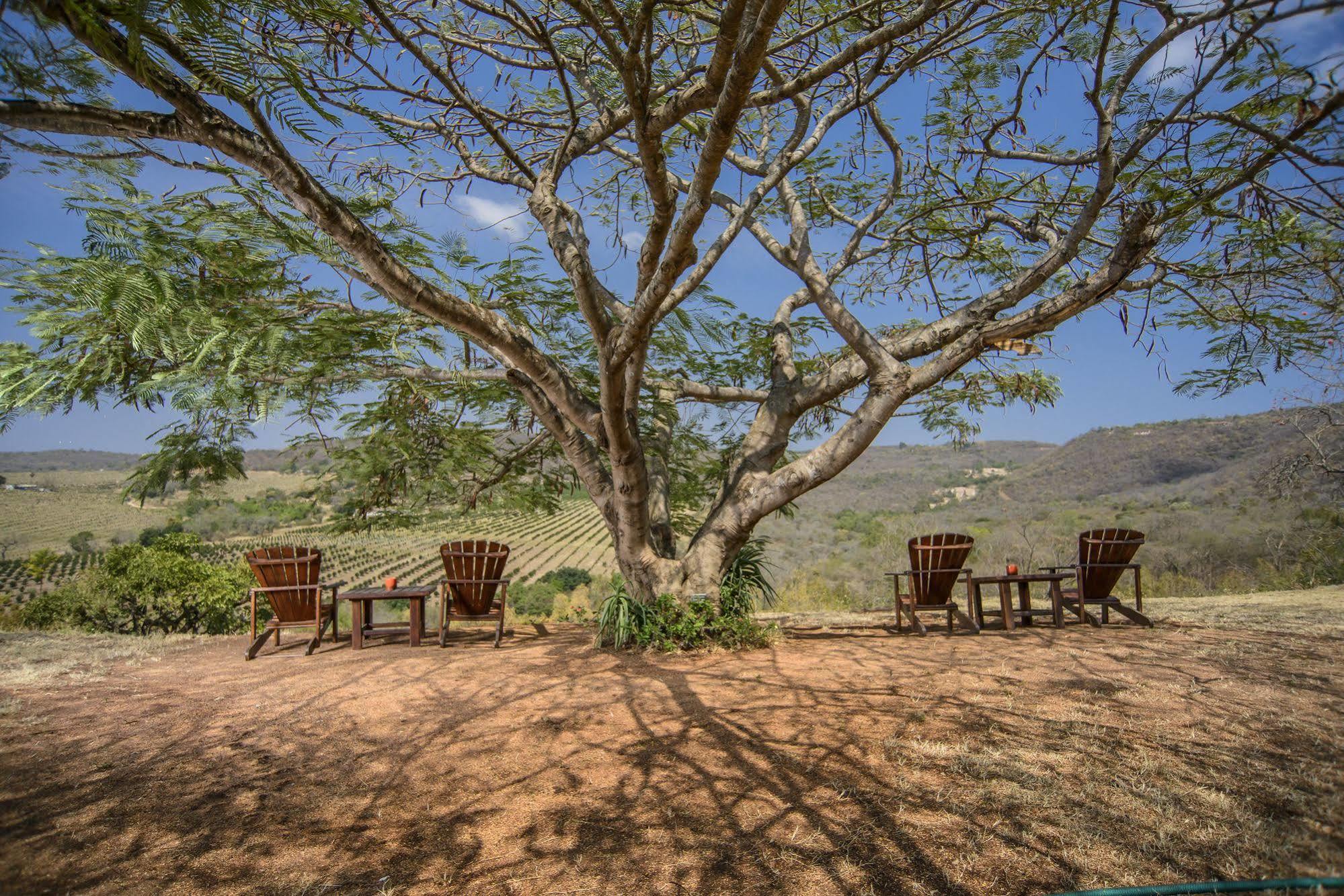 Abangane Guest Lodge Hazyview Exteriör bild
